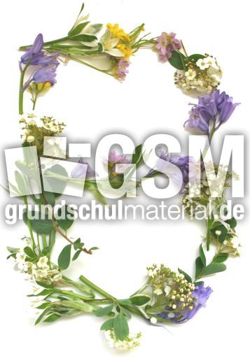 B-wie-Blüten.jpg